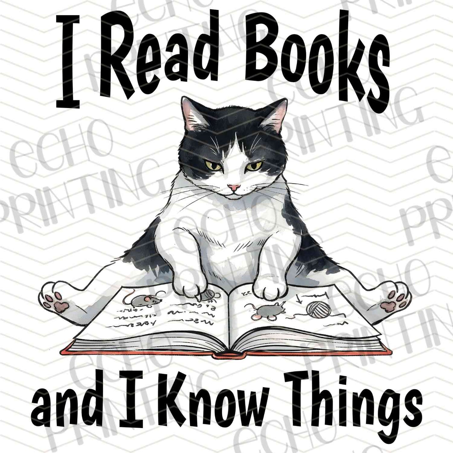 BKG 202 – BOOK SMART CAT