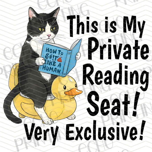 BKG 204 – PRIVATE READING CAT