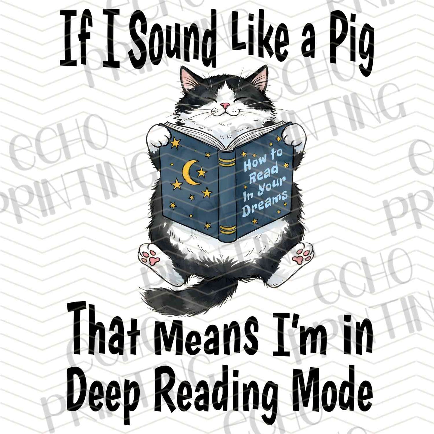 BKG 209 – DEEP READING CAT