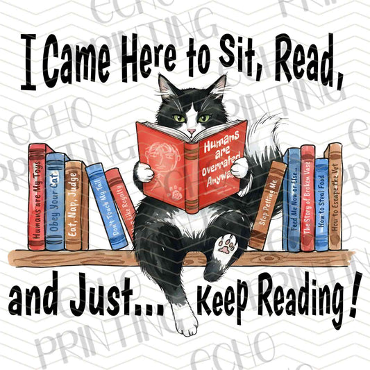 BKG 213 – SIT AND READ CAT