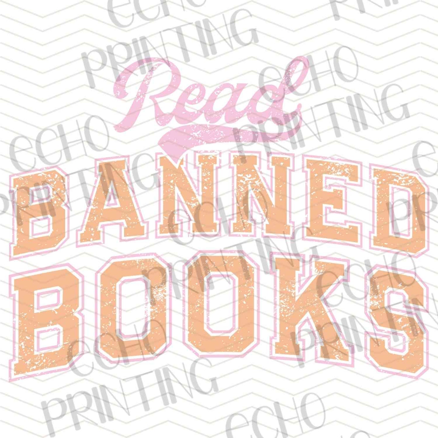 BKG 233 - READ BANNED BOOKS