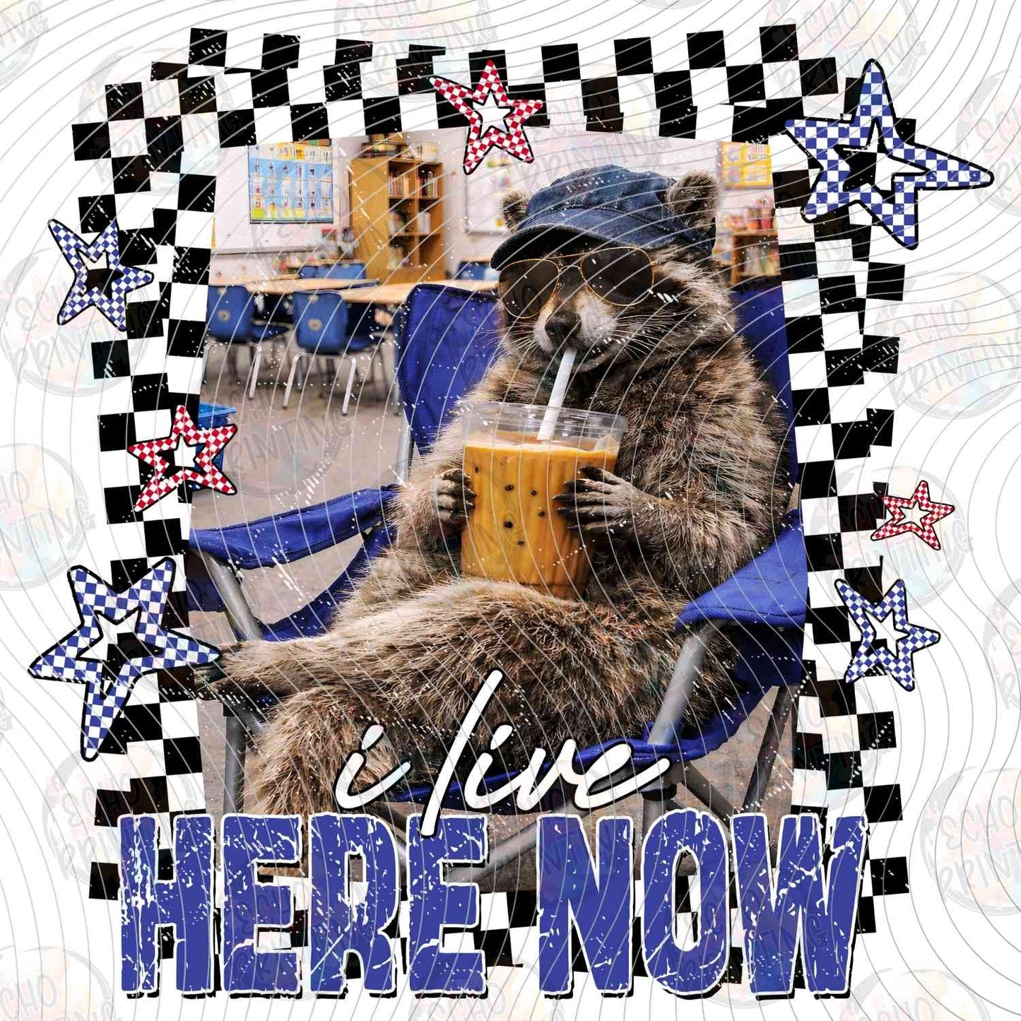 BSBG 483 - LIVE HERE NOW RACCOON