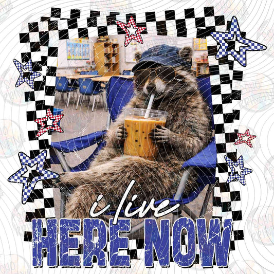 BSBG 483 - LIVE HERE NOW RACCOON