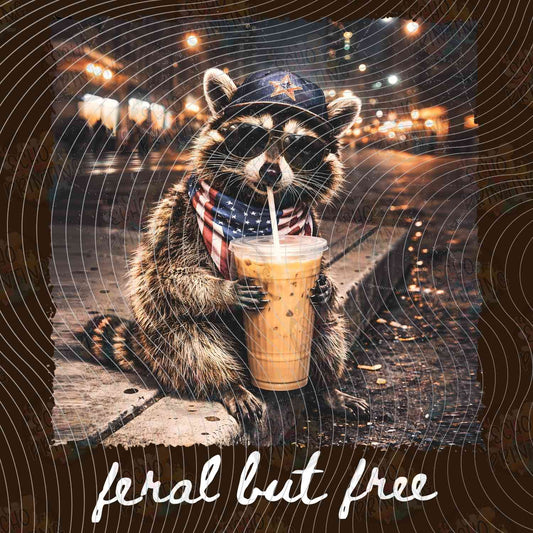 BSBG 484 - FERAL BUT FREE RACCOON