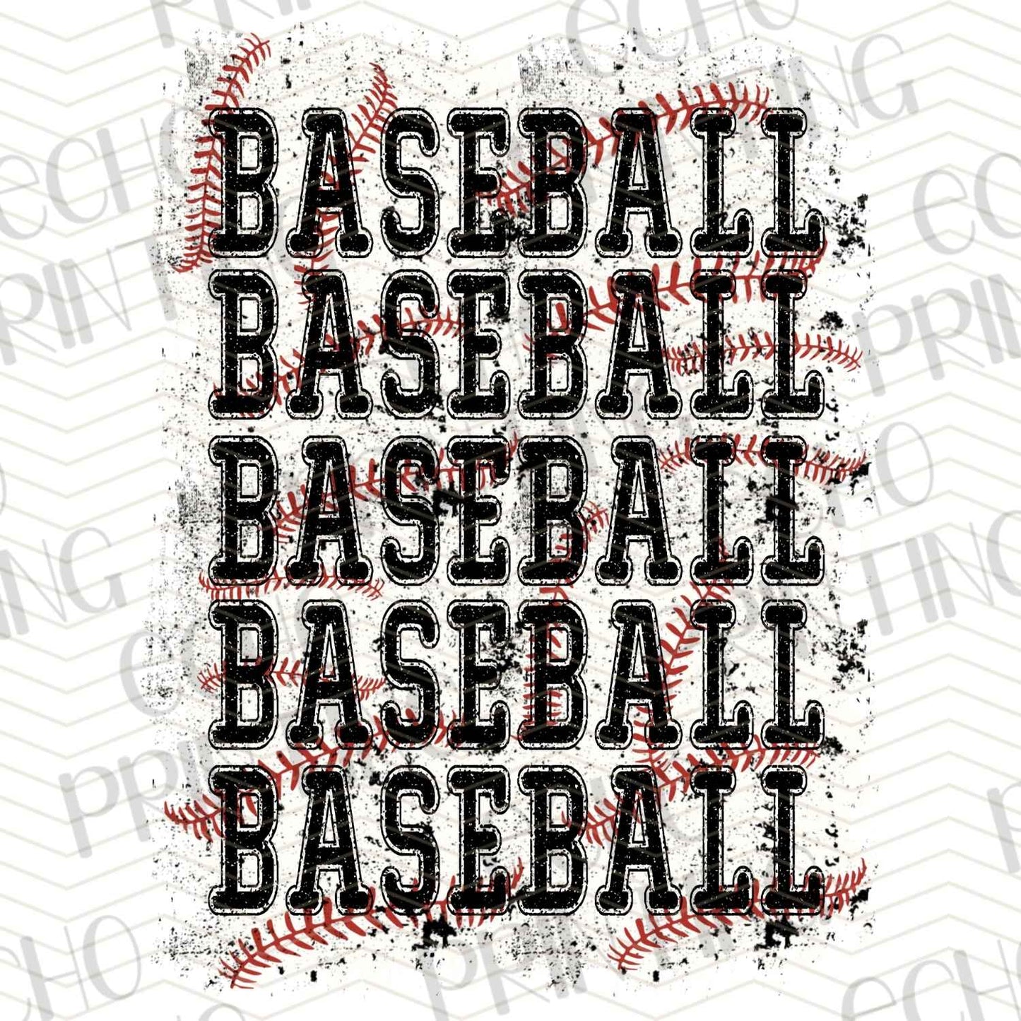 BSBG 251 - BASEBALL