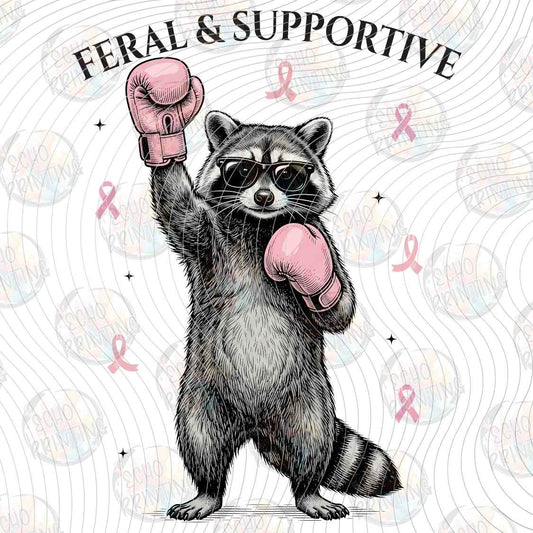 BSCRA 608 - FERAL AND SUPPORTIVE RACCOON