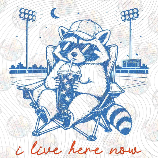 CATG 106 - I LIVE HERE NOW