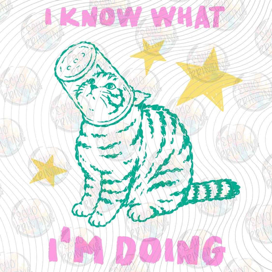 CATG 112 - I KNOW WHAT IM DOING