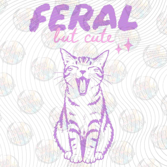 CATG 114 - FERAL BUT CUTE