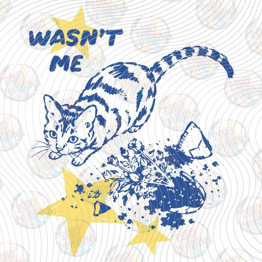 CATG 115 - WASNT ME TODAY