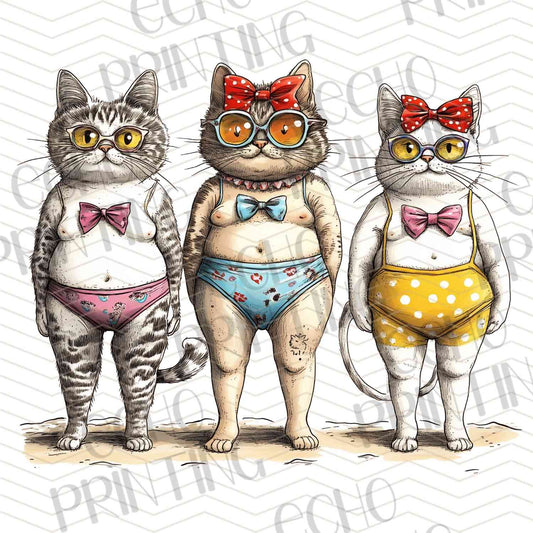 CATG 35 - CAT FAMILY