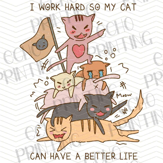 CATG 48 - I CAN HAVE A BETTER LIFE