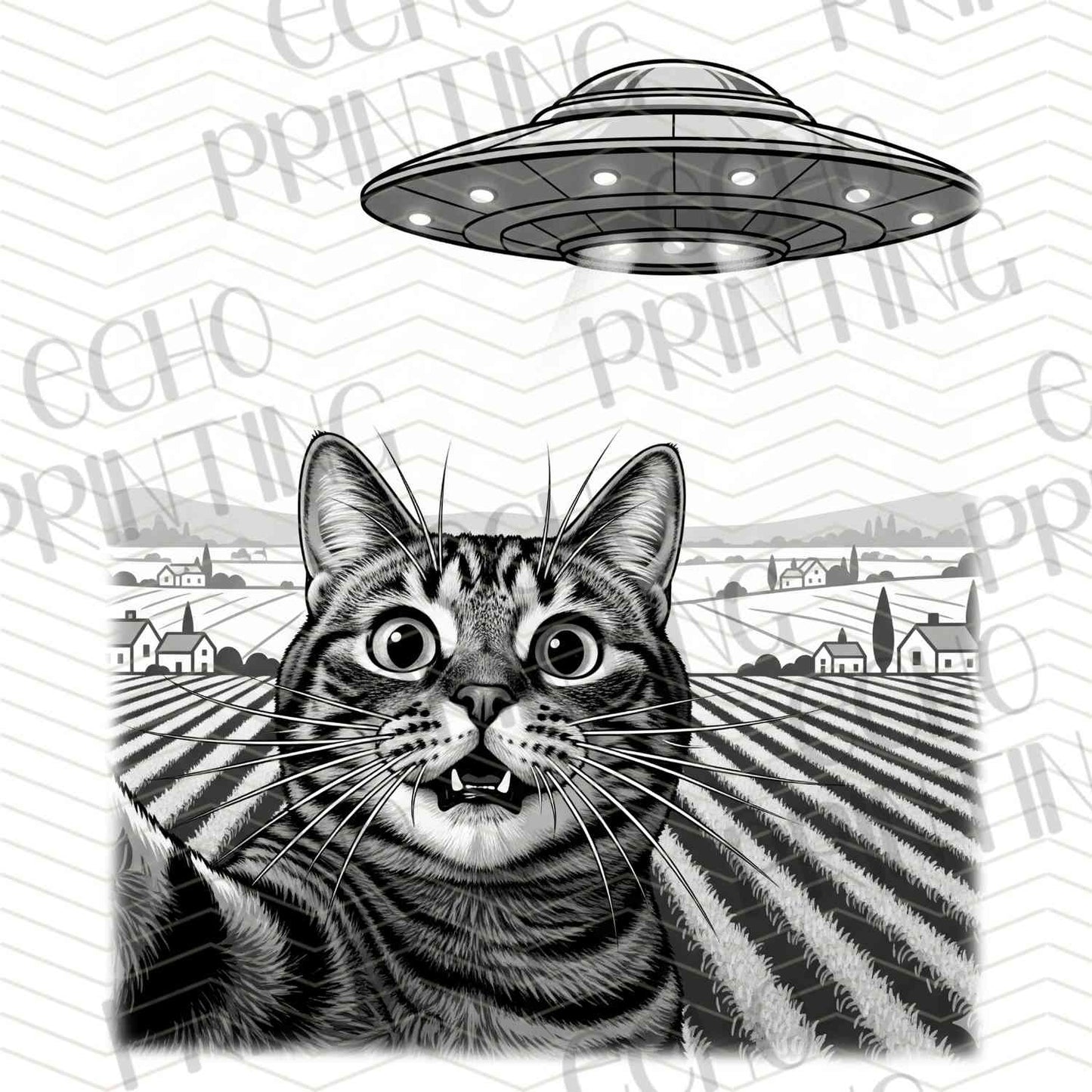 CATG 91 - CAT ABDUCTION