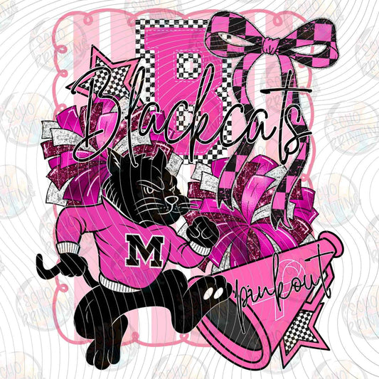 CGM 175 - WILDCATS CHEER 
