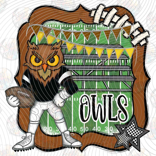 CGM 287 - OWLS