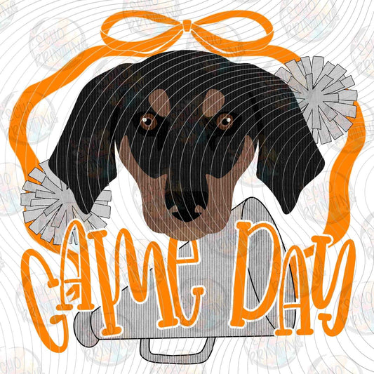 CGM 313 - BEAR