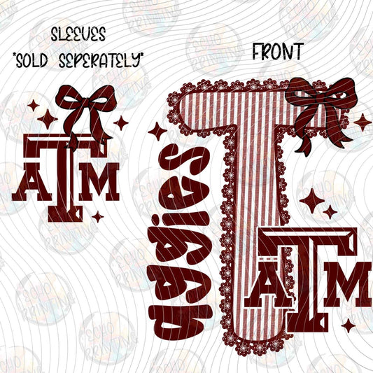 CGM 495 - AGGIES