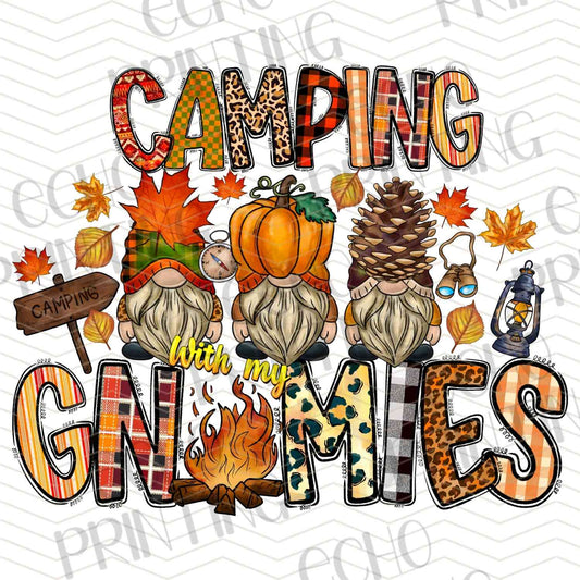 CMPG 79 - CAMPING GNOMES