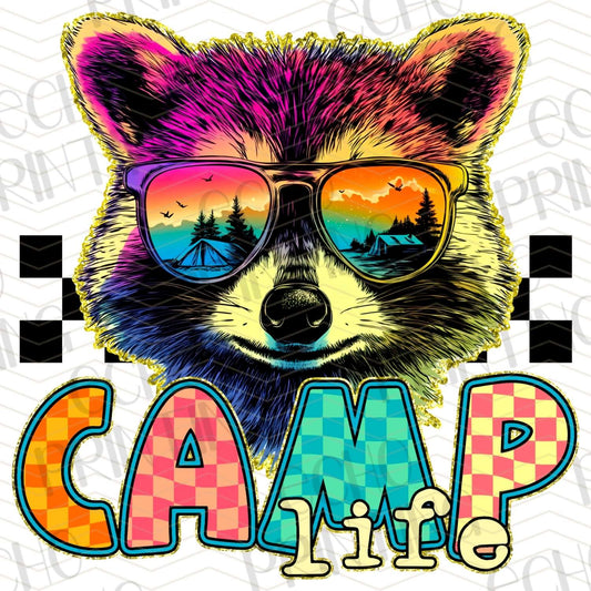 CMPG 59 - COLORFUL RACOON CAMP LIFE