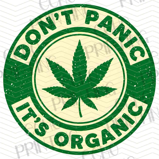 CNBG 14 – LEAF CIRCLE GRAPHIC