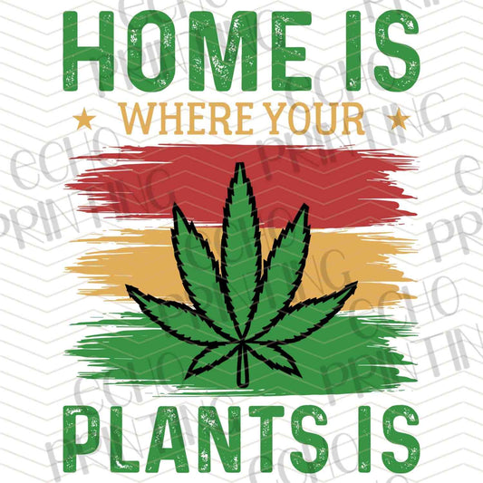 CNBG 23 - HOME IS PLANTS