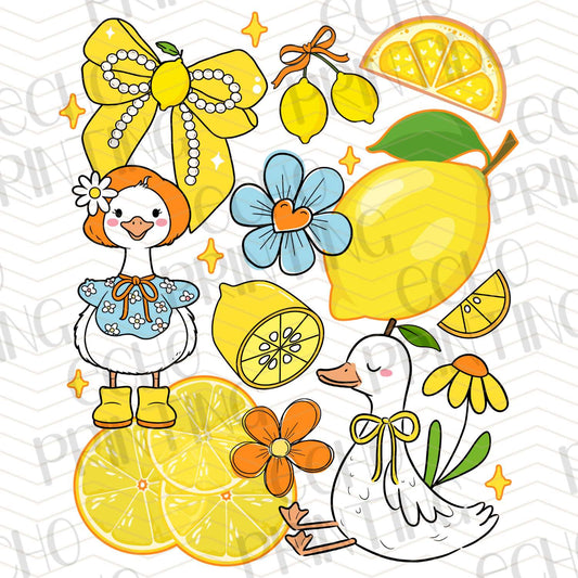 COGR 16 - LEMON FRUIT SET