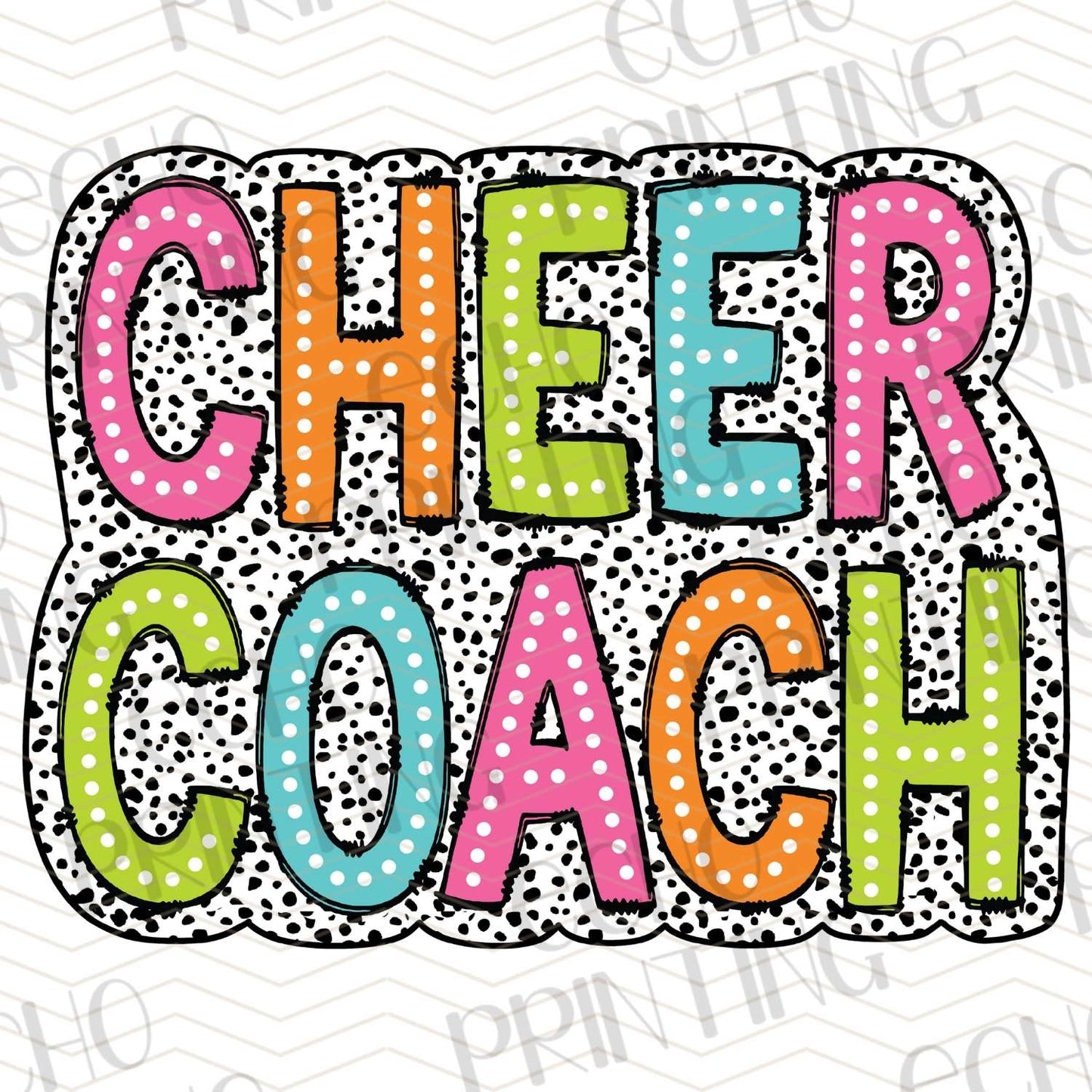 DCNG 18 - CHEER COACH