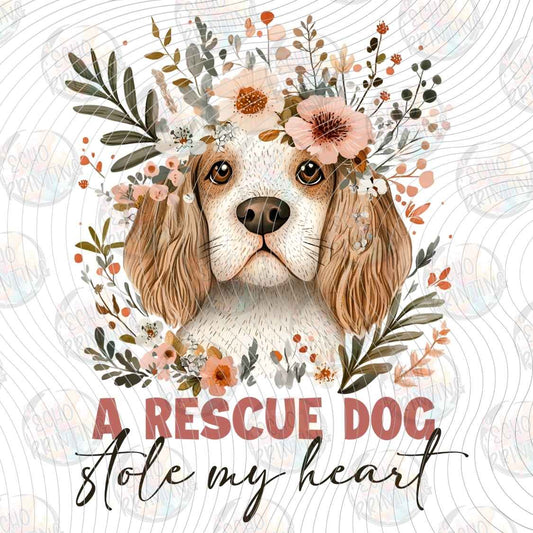 DGBSF 158 - RESCUE DOG STOLE MY HEART