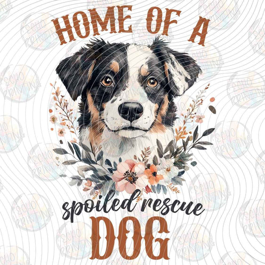 DGBSF 161 - HOME OF RESCUE DOG