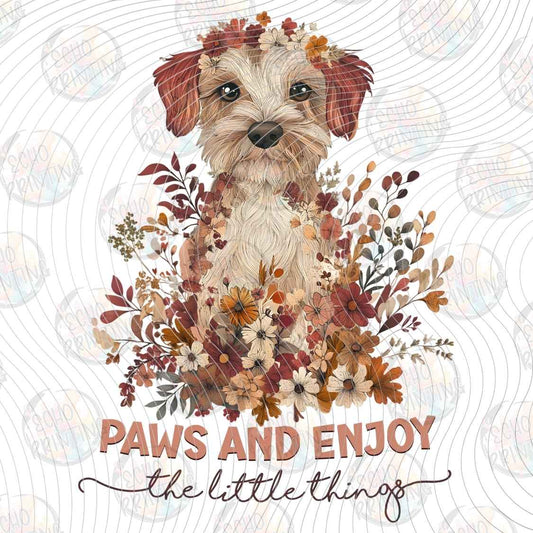 DGBSF 165 - PAWS AND ENJOY LIFE