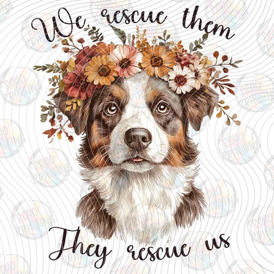 DGBSF 168 - WE RESCUE THEM