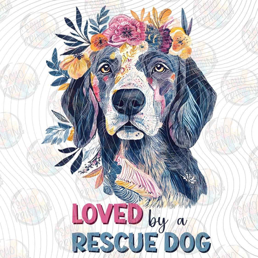 DGBSF 170 - LOVED BY RESCUE DOG