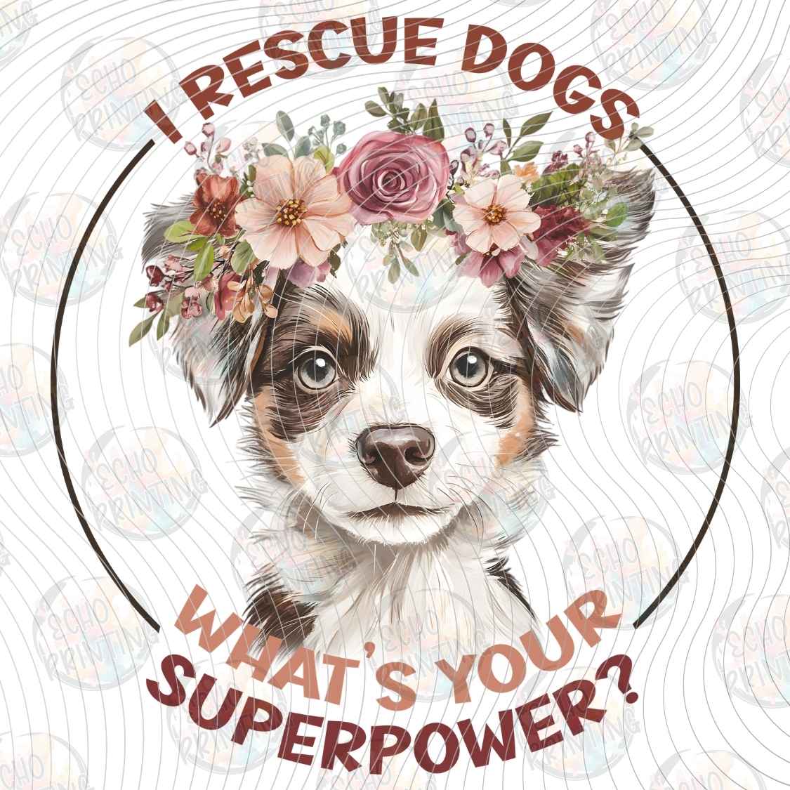 DGBSF 171 - RESCUE DOGS SUPERPOWER