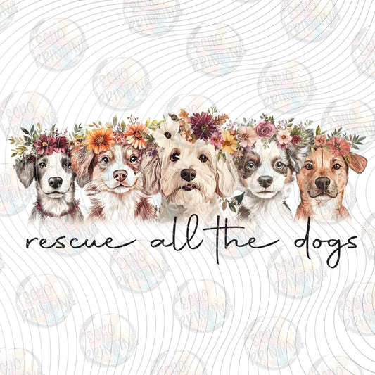 DGBSF 174 - RESCUE ALL THE DOGS