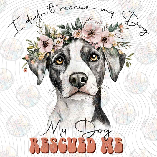 DGBSF 175 - MY DOG RESCUED ME