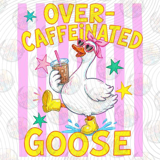 DNKG 608 - OVER CAFFEINATED GOOSE