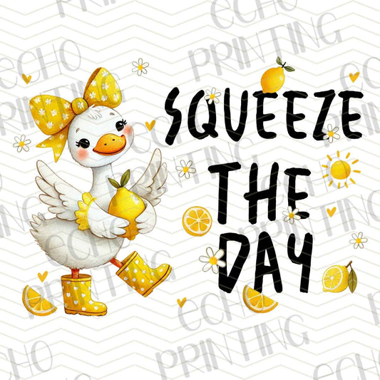 DNKG 72 - SQUEEZE THE DAY DUCK