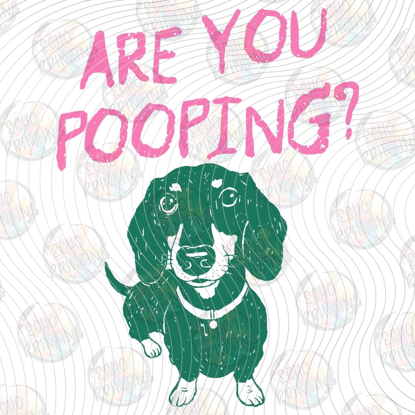 DOG 102 - ARE YOU POOPING DACHSHUND