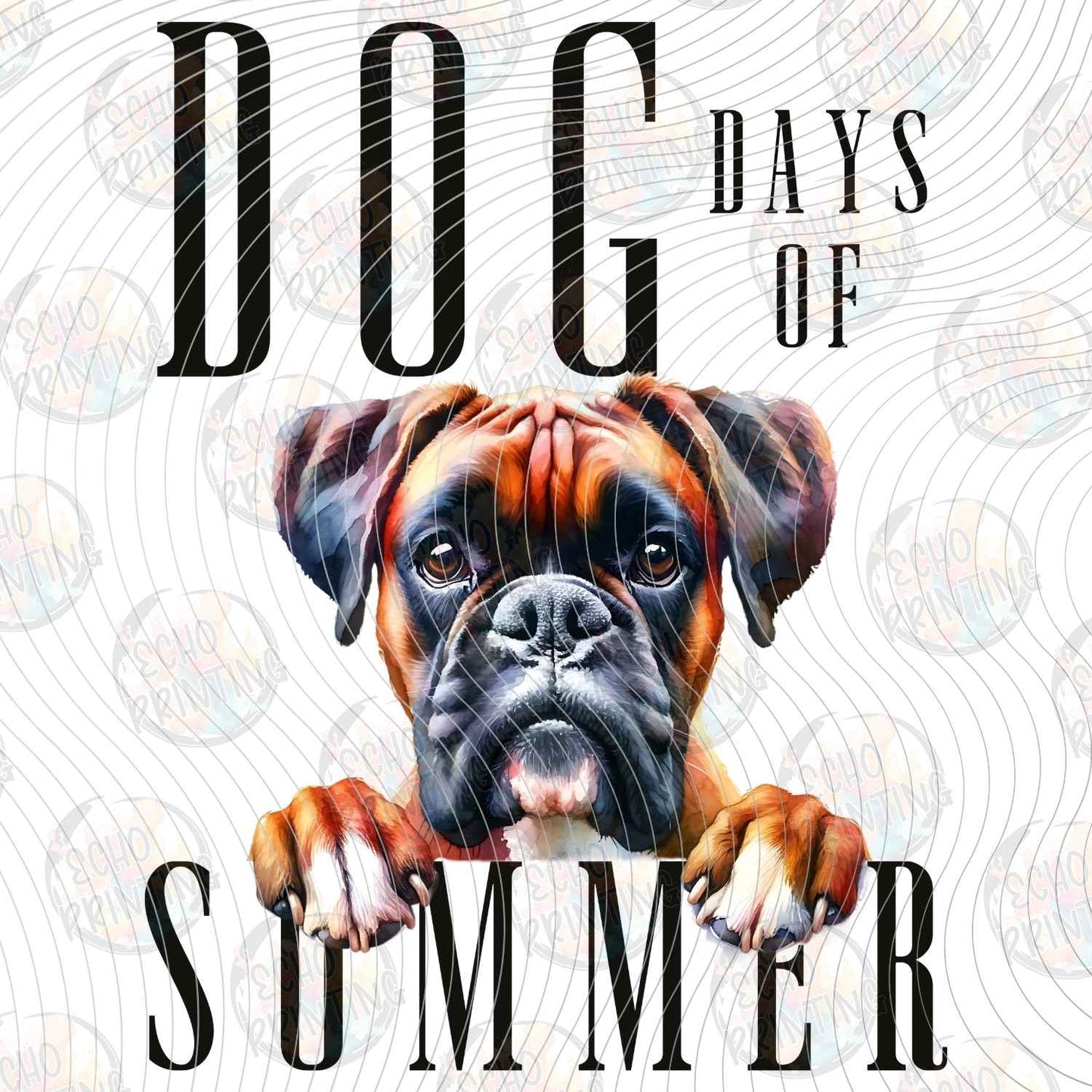 DOG 114 - BOXER DAYS OF SUMMER