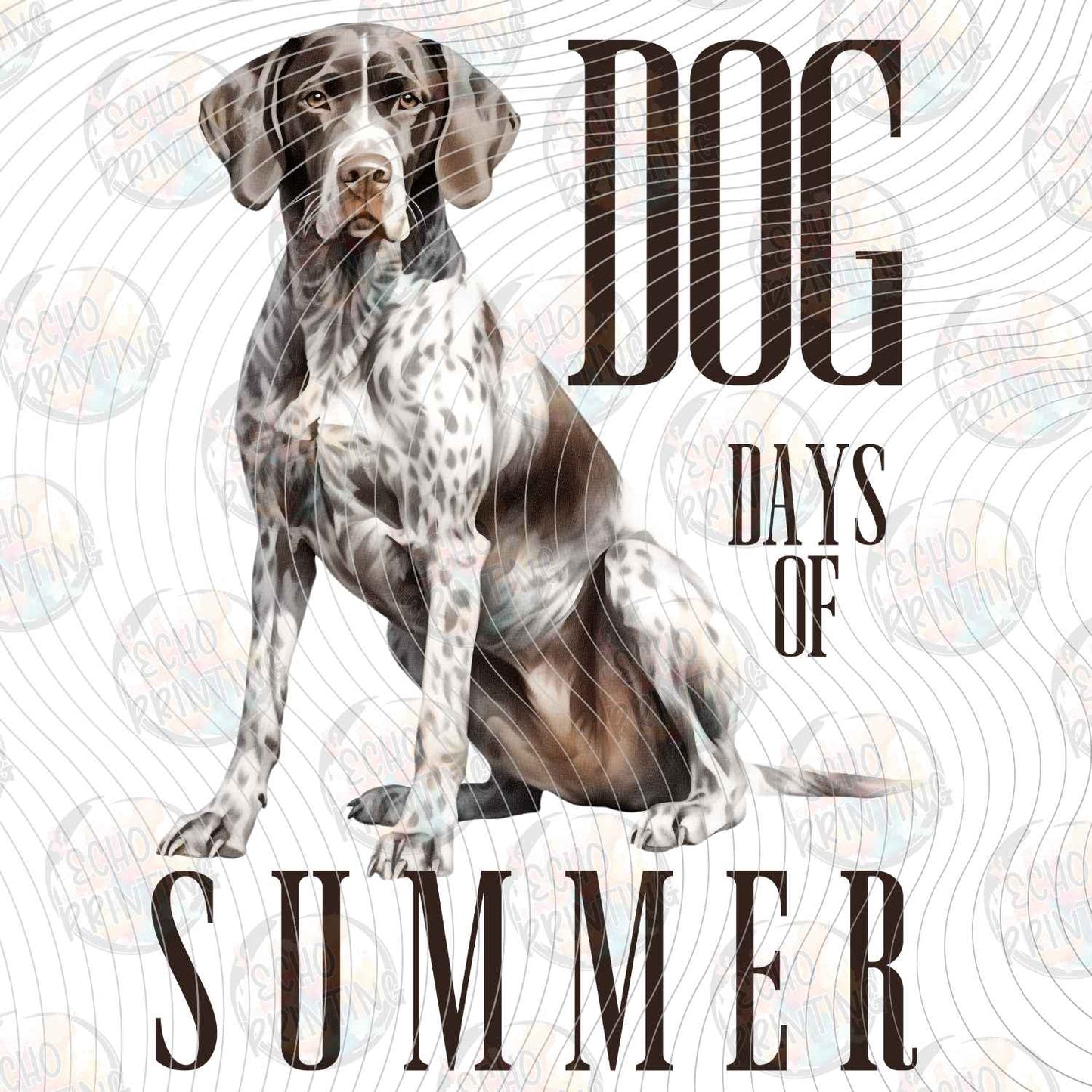 DOG 123 - WIREHAIRED POINTER DAYS OF SUMMER