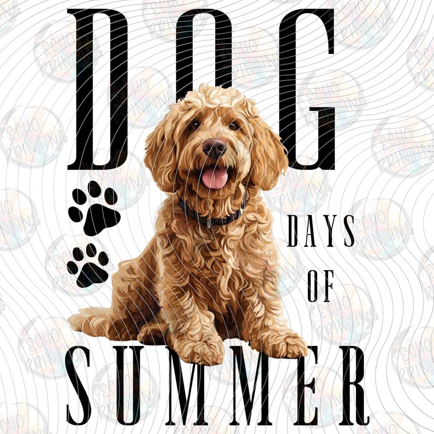 DOG 128 - GOLDENDOODLE DAYS OF SUMMER