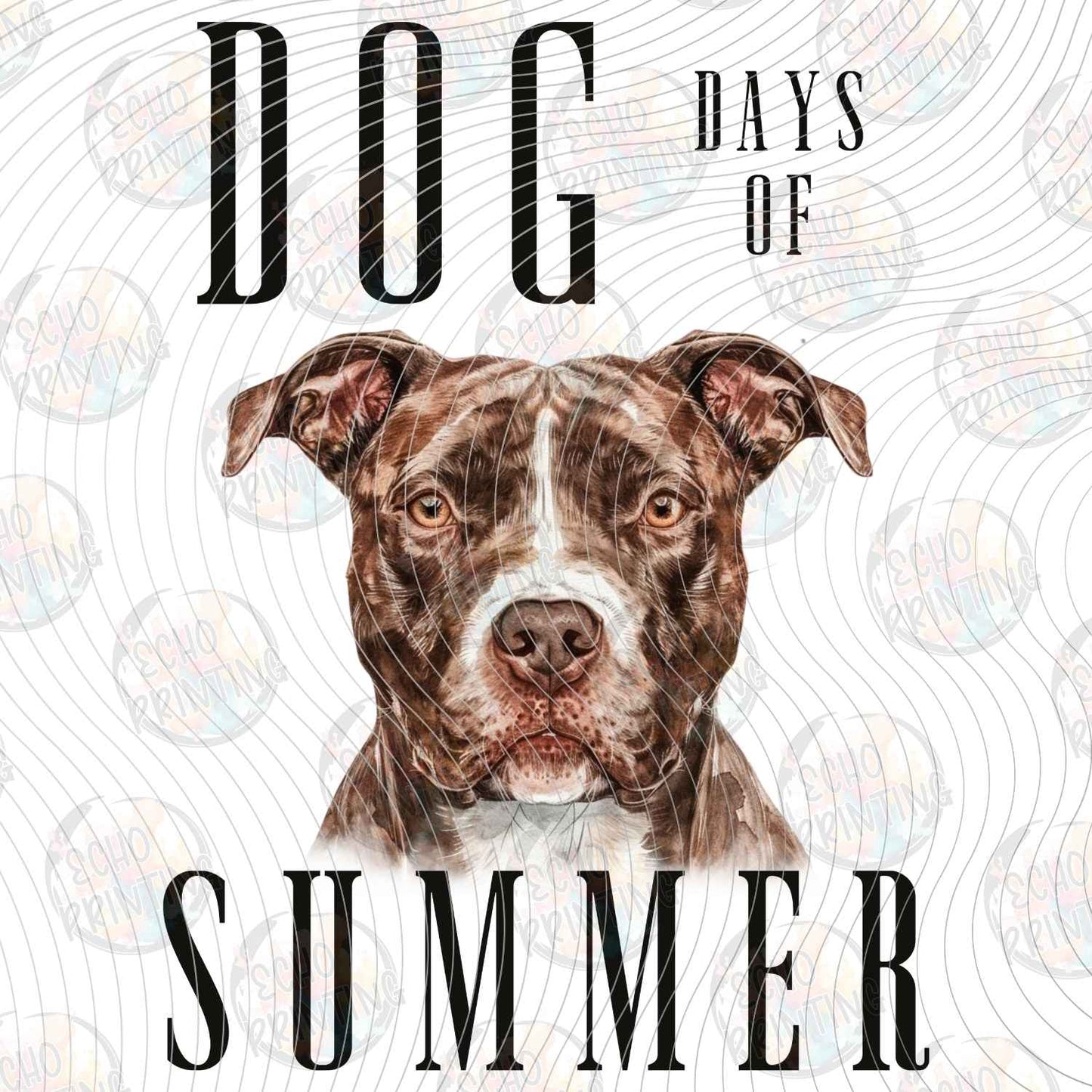 DOG 134 - PITBULL DAYS OF SUMMER