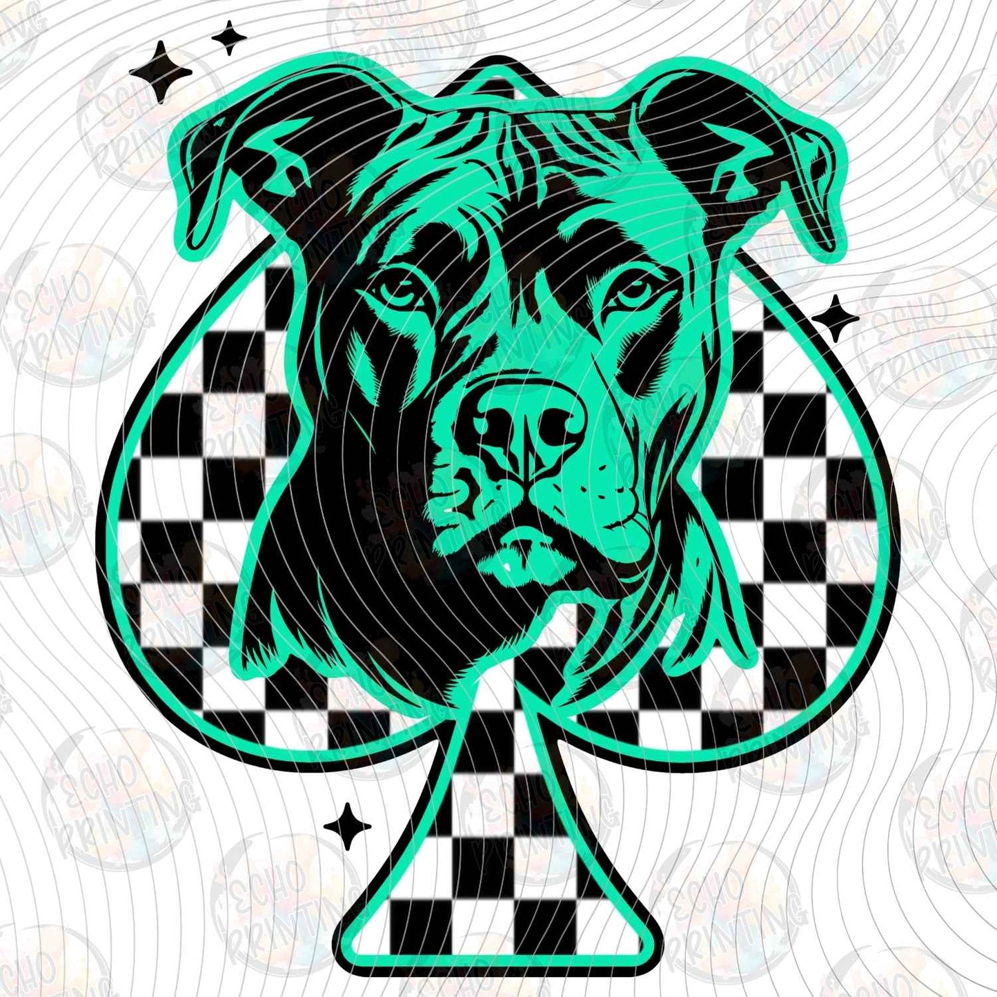 DOG 138 - PITBULL SPADE CHECKERBOARD