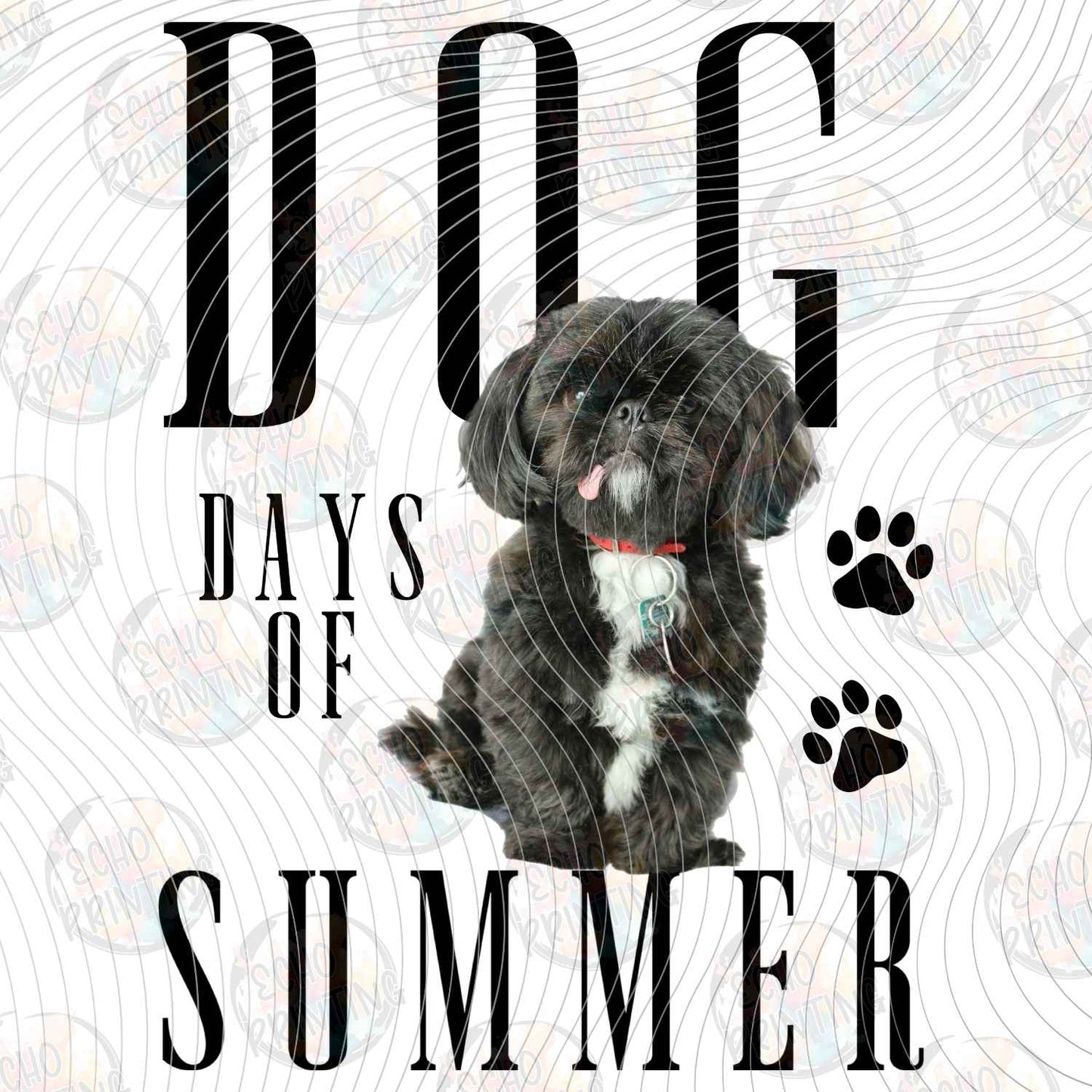 DOG 142 - POODLE DAYS OF SUMMER