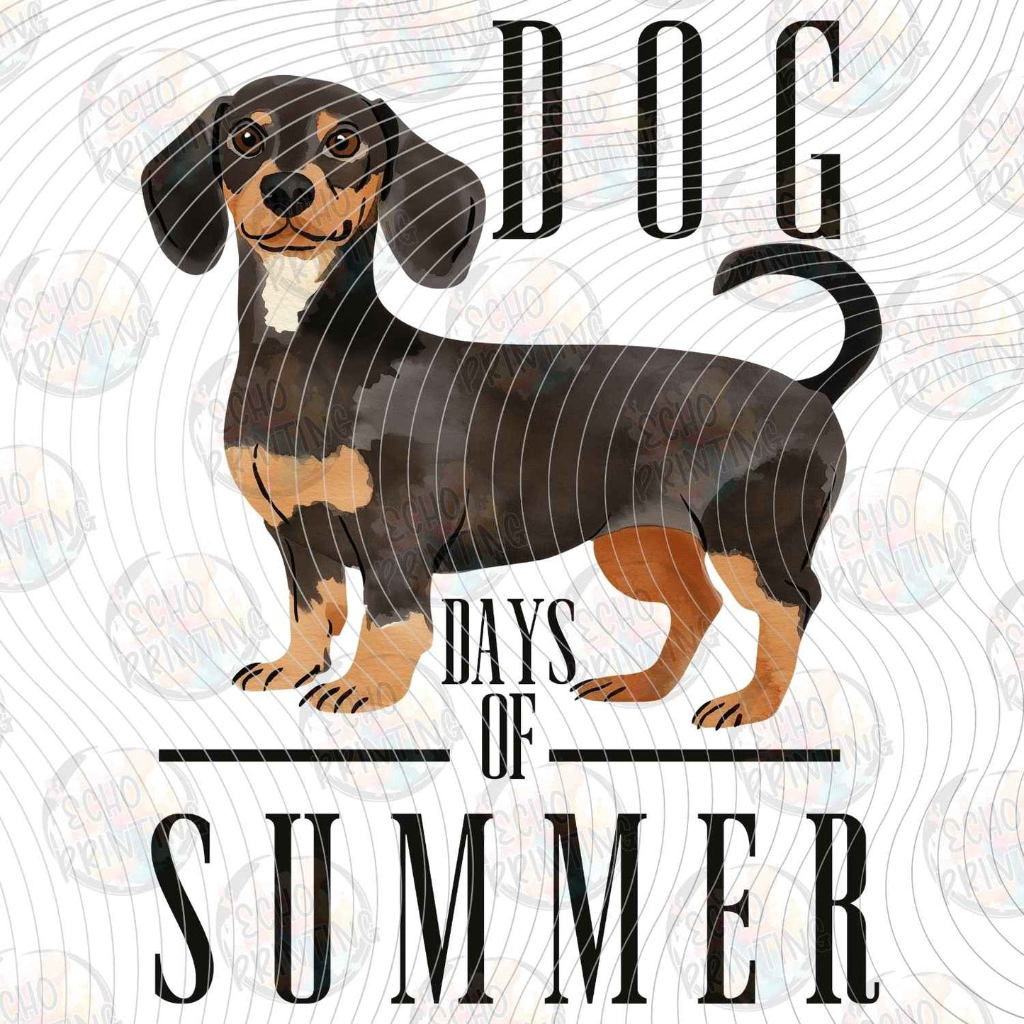 DOG 151 - DACHSHUND DAYS OF SUMMER