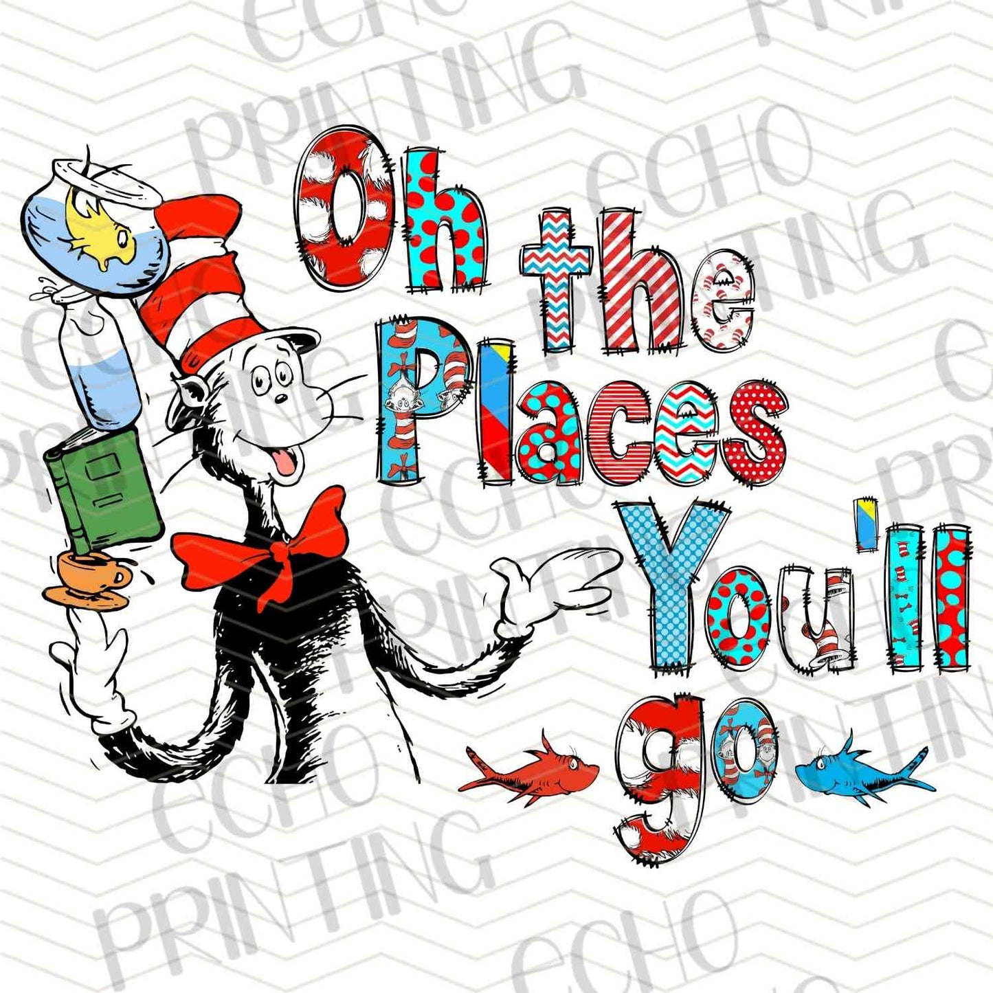 DRSS 107 - PLACES YOU CAN GO READING DESIGN