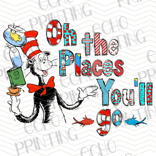 DRSS 107 - PLACES YOU CAN GO READING DESIGN