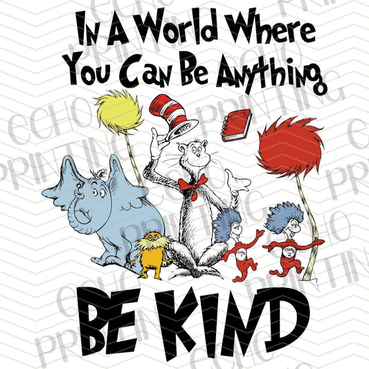 DRSS 211 - IN A WORLD OF POSSIBILITIES, BE KIND