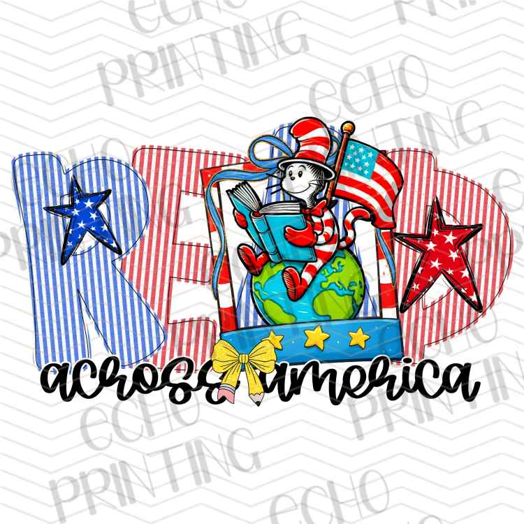 DRSS 313 - READING ACROSS AMERICA