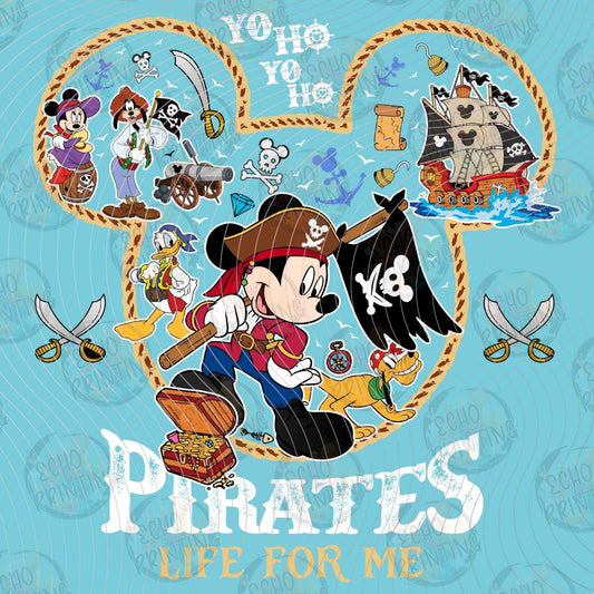 DSNC 29 - PIRATES LIFE FOR ME TREASURE MAP